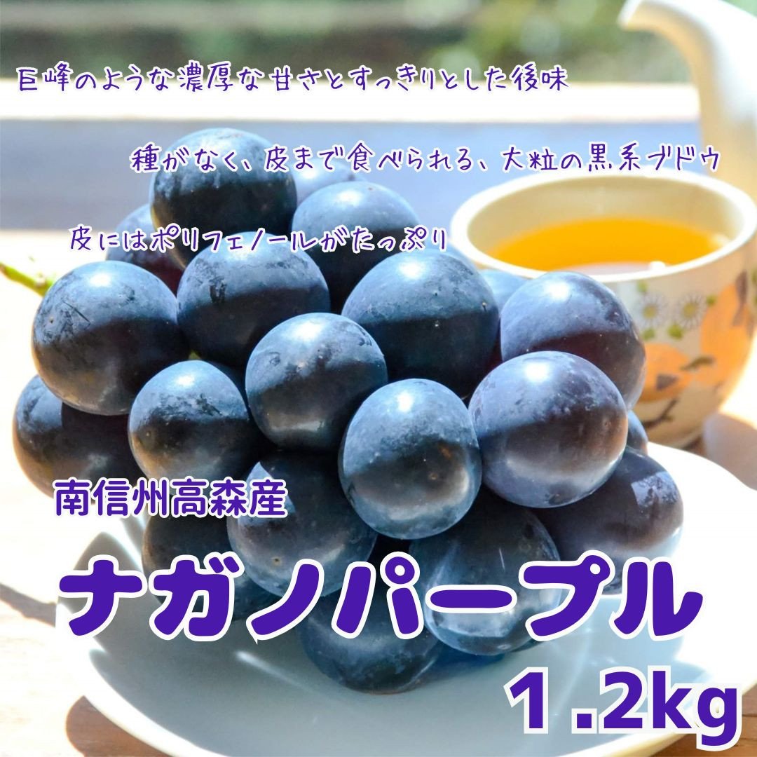
            【南信州高森産】令和8年度先行受付ナガノパープル 約1.2kg 2026年8月中旬より発送 長野県 信州 農家直送 果物 くだもの ぶどう 旬のぶどう パープル 山吹ぶどう狩り組合
          