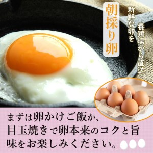 贅沢な旨み! 美味しく 食べて 社会貢献 箱庭たまご「茜」 12個 真岡市 栃木県