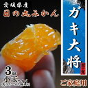 【ふるさと納税】果汁しっかり自然の恵み!「ガキ大将」3kg(小玉サイズ)/日の丸みかん/ご家庭用【C79-16】【1452039】