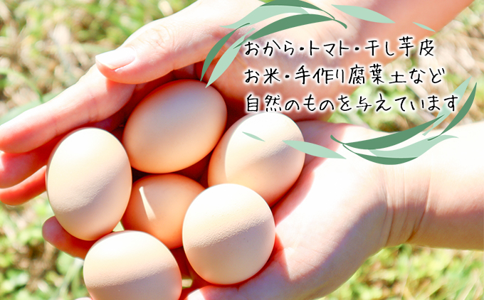 【定期便】土佐ジローたまご（12個入）×12回  約3週間毎に1回