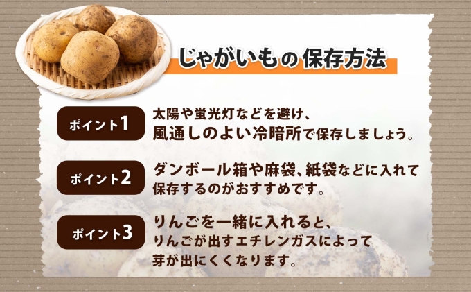 北海道産 じゃがいも とうや Lサイズ 10kg 馬鈴薯 黄爵 ジャガイモ ポテト 芋 いも 旬 イモ 野菜 農作物 産地直送 産直 常温 北海道 お取り寄せ 送料無料 倶知安町 羊蹄山 カレー 肉じゃが
