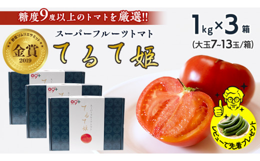 
てるて姫 小箱 1kg × 3箱 【7~13玉/1箱】 糖度9度以上 スーパーフルーツトマト 野菜 フルーツ トマト フルーツ トマト とまと [AF071ci]
