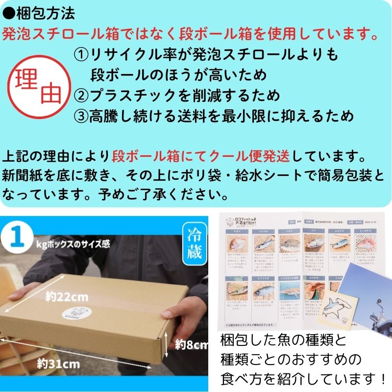 【P78001】 漁師厳選！ロコフィッシュ(地魚) 下処理済 鮮魚 ボックス(約1kg)_イメージ5