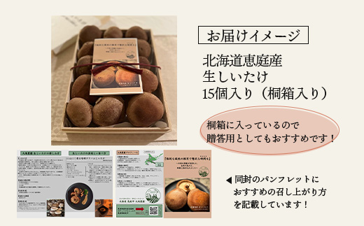 【先行予約】《数量限定》北海道恵庭産生しいたけ15個（桐箱入り）【800001】