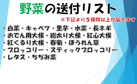 【数量限定】小国の旬の新鮮冬野菜セット　5品以上　