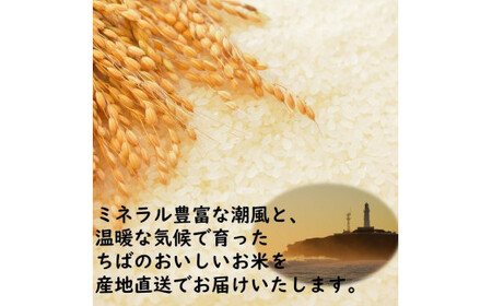 【無洗米】コシヒカリ 5kg 千葉県産こしひかり 千葉県産 専門 1等米 おすすめ 粘り つやつや コシヒカリ 美味しい  五つ星 お米マイスター 千葉県 銚子市