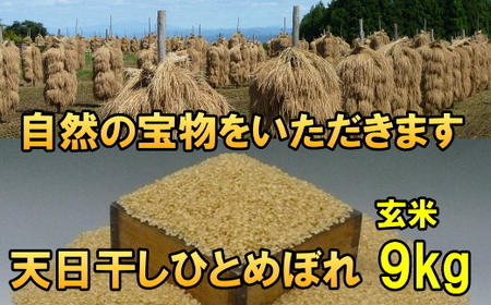 【玄米9kg】天日干しひとめぼれ 玄米9キロ【7日以内発送】 [AC048]