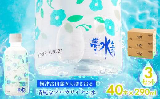 ミネラルウォーター夢水氣（290ml×40本）3セット 天然アルカリイオン水 軟水 【ふるさと納税 人気 おすすめ ランキング 天然アルカリイオン水 天然水 ミネラルウォーター 横津岳山麓 北海道 七飯町 送料無料】 NABI005