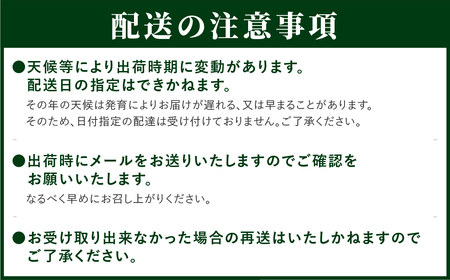 先行予約 あづましずく 約1kg ぶどう 果物 フルーツ 福島県 田村市 