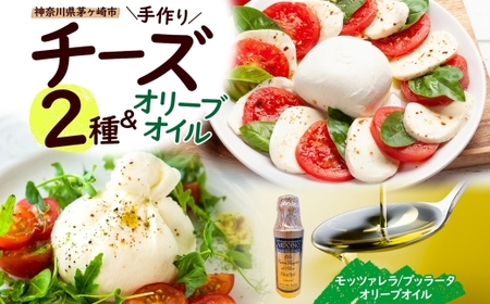 チーズセット フレッシュチーズ2種 オリーブオイル チーズセット【モッツァレラ100g×2 ブッラータ160g×1 オリーブオイル100ml】