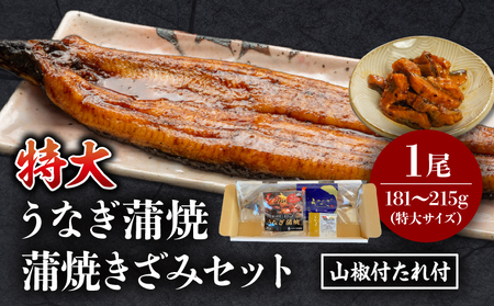 うなぎ 蒲焼 うなぎ[国産 1尾 きざみ付]