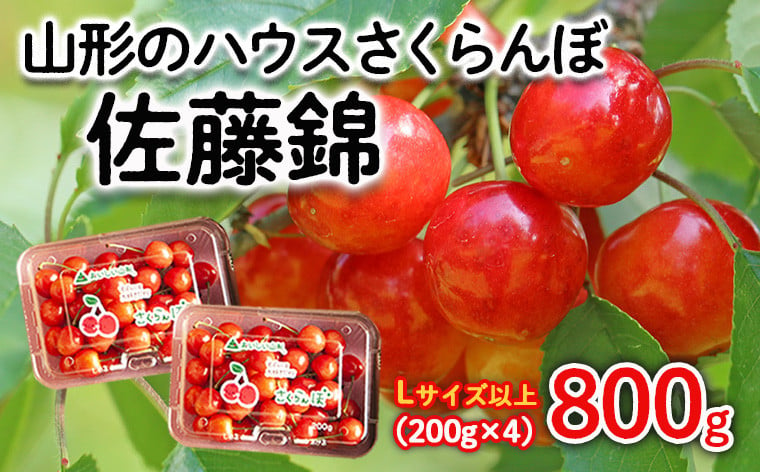 
            山形のハウスさくらんぼ 佐藤錦 800g(200g×4パック) Lサイズ以上 【令和7年産先行予約】FS24-546くだもの 果物 フルーツ 山形 山形県 山形市 2025年産
          