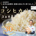 【ふるさと納税】定期便　玄米　30キロ　炊きあがりのつやと香りが良く、うま味も強い　コシヒカリ　佐久穂とさや農園〔ST-B5-2-T3〕5キロ×2袋　3カ月　計30キロ