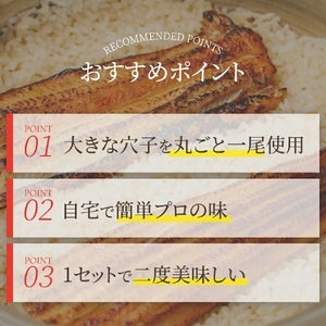 〈贈答用/風呂敷包〉ごちそう穴子めし【2合セット】+出汁茶漬け付 | AN010-gift
