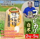 【ふるさと納税】米 白米 コンクール殿堂入り農家が贈る 令和6年度 山形県産 特別栽培米 コシヒカリ 2kg 5kg | ふるさと納税 米 白米 精米 高級 お米 ブランド米 山形 遠藤農園 高畠町 2024 2025 ふるさと 人気 送料無料 F21B-166var