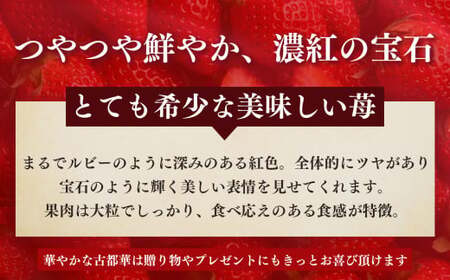 奈良県産ブランド「古都華（ことか）」２パック（約５４０ｇ）| フルーツ くだもの 果物 いちご イチゴ ことか コトカ 古都華 奈良県 五條市