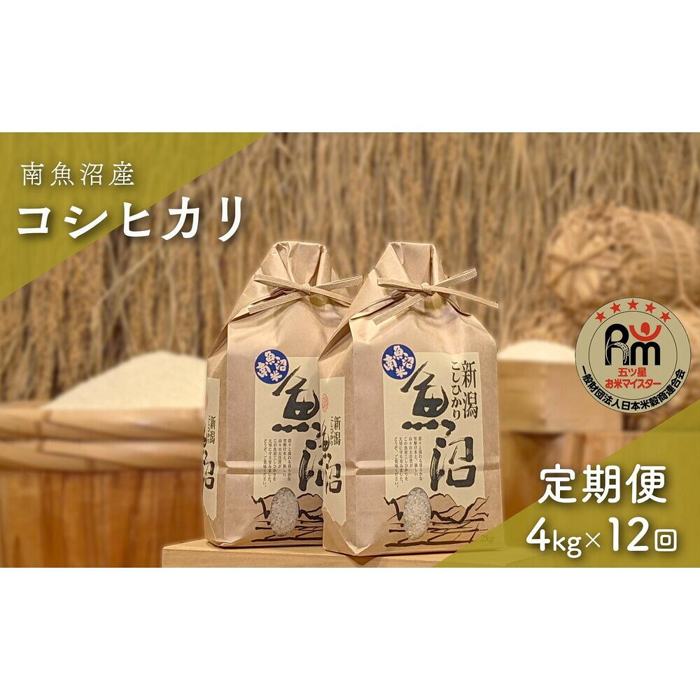 【ふるさと納税】令和7年産「五つ星お米マイスター」の南魚沼産コシヒカリ　精米4kg（2kg×2個）×12回（毎月定期便）【定期便 銘柄米 ブランド米 精米 こしひかり コシヒカリ 魚沼産 新潟米 産地直送 お米 米 こめ コメ ご飯 御飯 ごはん】