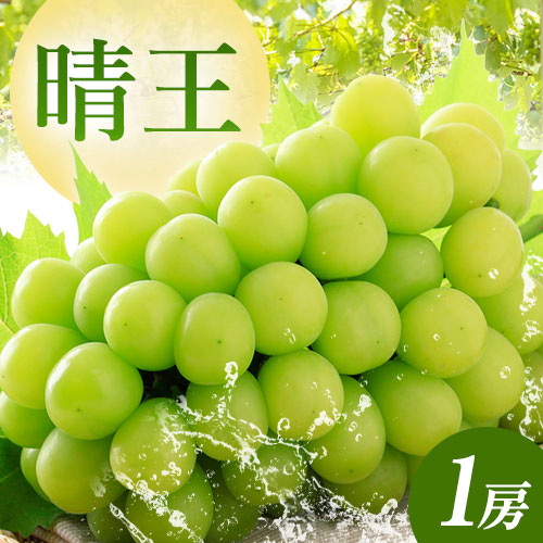 【2026年先行予約】秋のシャインマスカット 晴王 1房 環山堂株式会社《2026年9月上旬-10月上旬頃より発送予定》岡山県 浅口市 シャインマスカット マスカット ぶどう 果物 フルーツ 送料無料【配送不可地域あり】