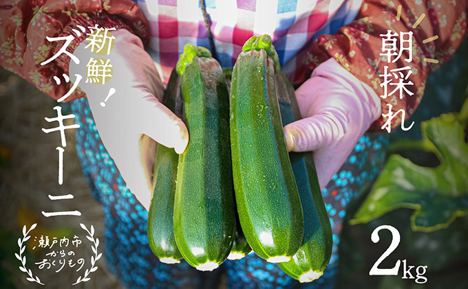 
                  瀬戸内牛窓産 ズッキーニ 約2kg（12本前後） [№5735-1031]
                