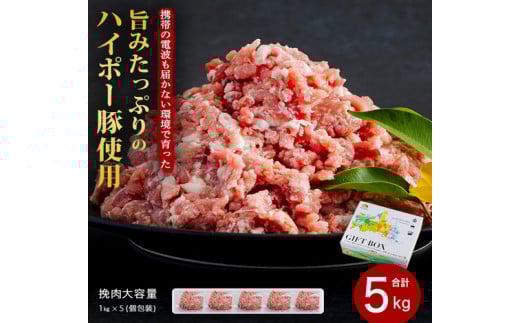 [№5681-0152]豚肉 阿武町産 豚挽肉 1kg×5パック 小分けセット | 携帯の電波も届かない環境で育った旨みたっぷりのハイポー豚 ひき肉 挽肉 豚 肉 お肉 ※配送不可:離島