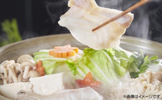 プリプリ旨味たっぷり！極上のクエ鍋セット500g（3～4人前）