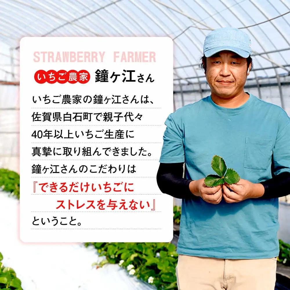 【2027年2月より順次発送】佐賀県産白いちご 新品種 こころの色 220g×2パック / 佐賀県 / 鐘ヶ江農園 [41ASBK003]