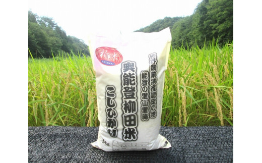 【復興支援】【令和5年度産】奥能登柳田米Ｅ  3kg