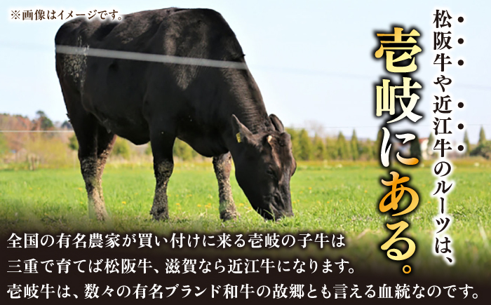 【全3回定期便】極上 壱岐牛 A5ランク 希少部位 赤身ステーキ 200g×2枚（雌）部位おまかせ 《壱岐市》【KRAZY MEAT】 [JER058] ステーキ 赤身 希少部位 牛肉 肉 焼肉 A5
