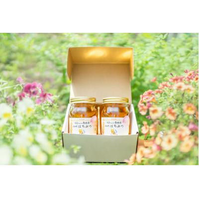 ふるさと納税 稲美町 五つ星ひょうご認定品 稲美町産 純粋はちみつ 480g×2個セット |  | 01