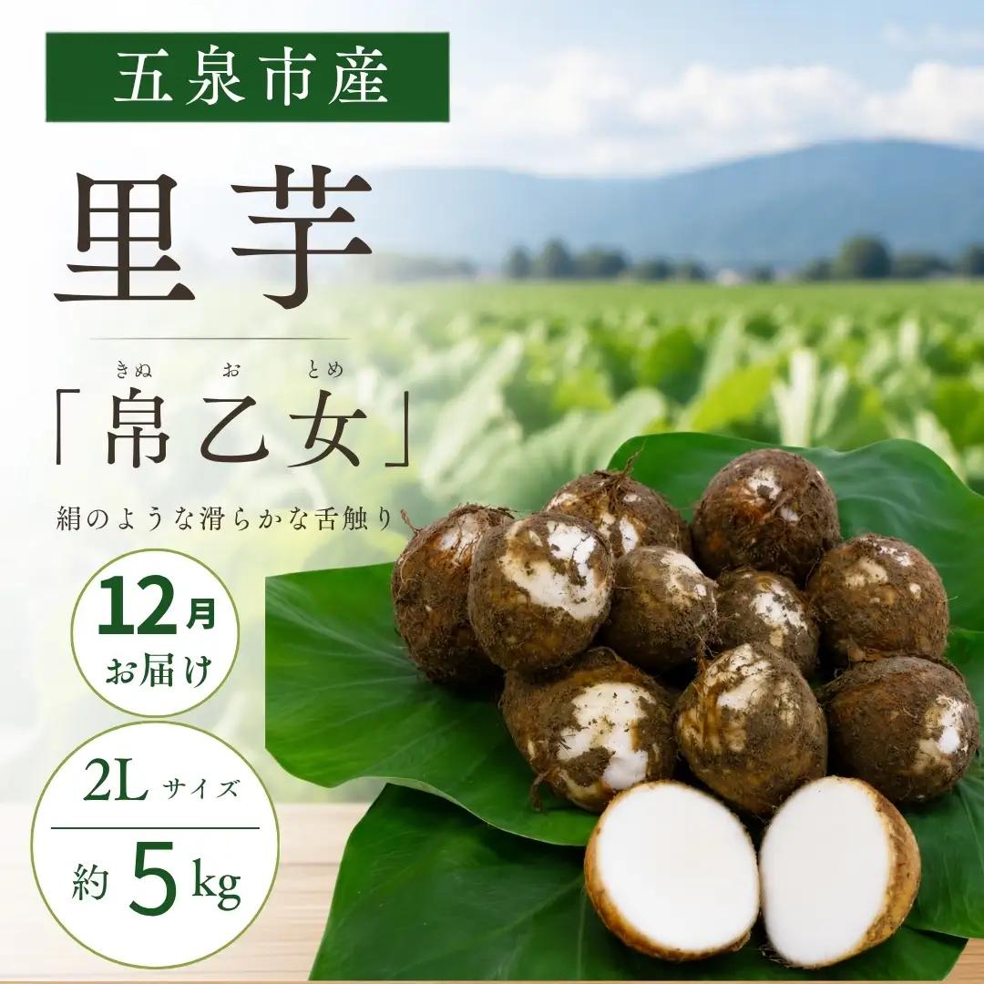 【12月中にお届け】さといも 帛乙女（きぬおとめ） 2L・5kg | 新潟県 五泉市 さといも サトイモ 野菜 帛乙女