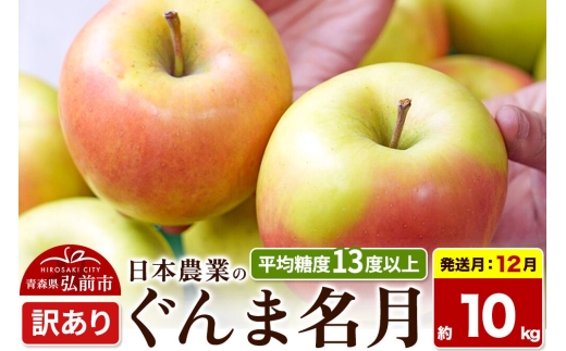 【26年12月発送】りんご ぐんま名月【訳あり】約10kg 平均糖度13度以上 青森県 弘前市 果物 フルーツ 林檎 リンゴ くだもの 不揃い 規格外 [先行受付 家庭用 産地直送 アップル 青森県 弘前市]