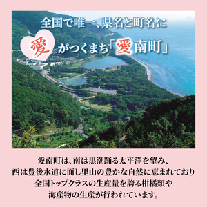 アイス 柑橘 不知火 しらぬい 河内晩柑 1000ml 2種 ギフト 詰め合わせ 有名 みかん職人 武田屋 お取り寄せ 贈り物 贈答品 氷菓 シャーベット ソルベ 美味しい フルーツ 果汁 ご当地 内