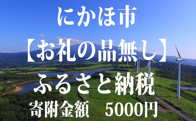 寄附のみの応援受付 5、000円コース（返礼品なし 寄附のみ 5000円）