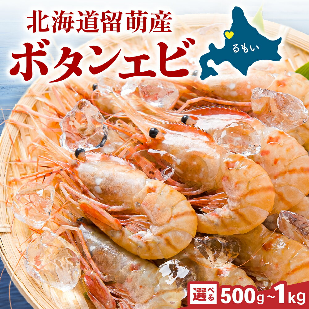 【ふるさと納税】漁師採りたて ボタンエビ 500g 北海道留萌産 ボタンえび ぼたんえび ボタン海老 えび エビ 海老 お刺身 刺身 塩焼き 塩ゆで 天ぷら 海鮮 魚介 魚介類 北海道 留萌 留萌市