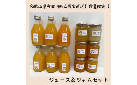 
                  【お中元】数量限定！店主にお任せ 農家直送の無添加の柑橘ジュース＆ジャムセット 【2025年7月1日～8月5日ごろ順次発送】
                