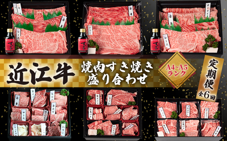 近江牛 食べ比べ 定期便 6ヶ月 焼肉 すき焼き 盛り合わせ 冷凍 シャトーブリアン ( 近江牛 サーロイン フィレ ヘレ 肩ロース 希少部位 ミスジ クラシタ イチボ ヒウチ ササバラ ラムシン 等 カルビ ロース ハラミ こてっちゃん 6回 赤身 和牛 黒毛和牛 ブランド 贈り物 贈答 国産 滋賀県 近江牛 竜王町 岡喜 霜降り 神戸牛 松阪牛 に並ぶ 日本三大和牛 ふるさと納税 近江牛 定期便 和牛 定期便 牛肉 定期便 肉 定期便 すき焼き肉 定期便 肉 定期便 牛肉 肉 国産 日本三大和牛 和牛 