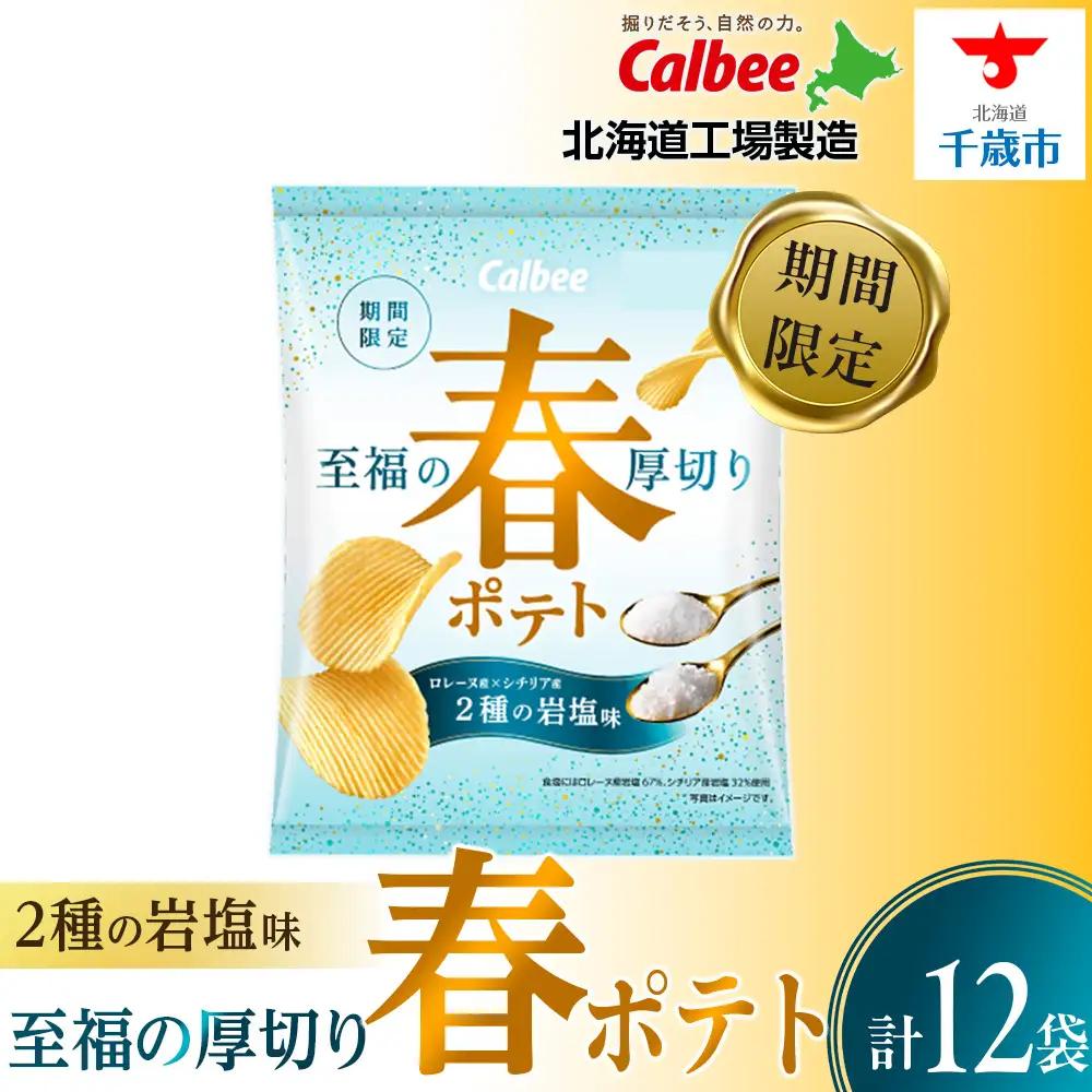 春ポテト＜2種の岩塩味＞ 12袋入×1箱 カルビー ポテトチップス《千歳工場製造》