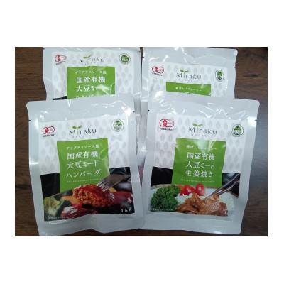 ふるさと納税 潮来市 国産有機大豆ミートハンバーグ・生姜焼き 100g×各2pセット
