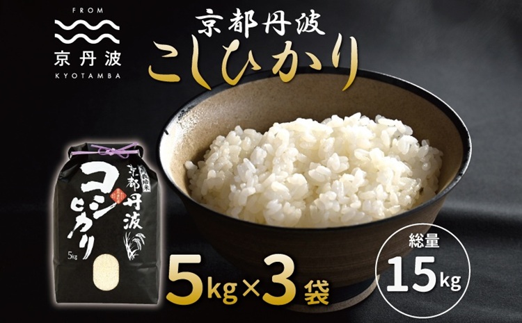 京丹波こしひかり 15kg 令和7年産 京都 米 精米 コシヒカリ ※北海道・沖縄・その他離島は配送不可 [026MB001]