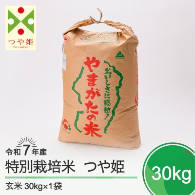 ふるさと納税 大石田町 新米 米 つや姫 30kg 令和7年産 【2026年1月上旬発送】山形県産 特別栽培米 玄米