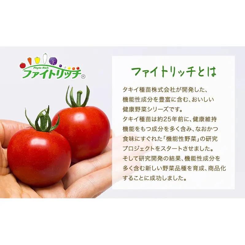 トマト 中玉 フルティカ 樹上完熟 農家直送 トマト【1.5kg】