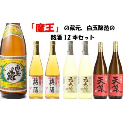 ふるさと納税 錦江町 【魔王の蔵元】白玉醸造の銘酒12本セット(No.8001-1) |  | 01