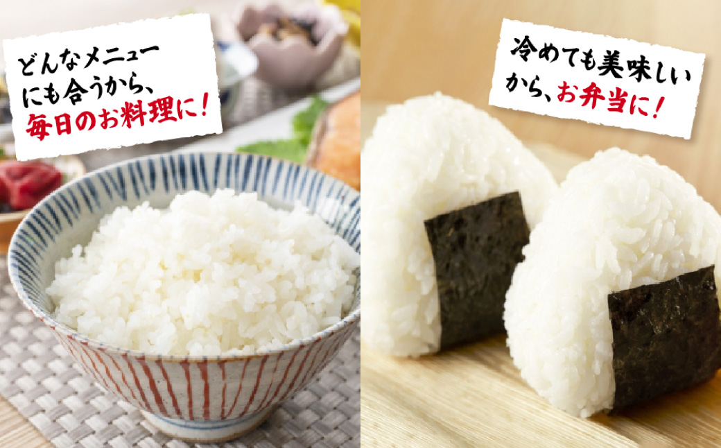 4J4 夢つくし(精米) 福岡県産ブランド米 20kg