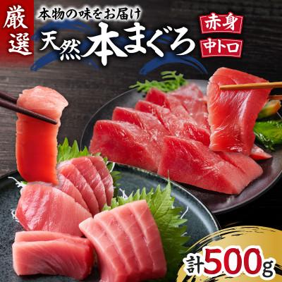 ふるさと納税 三浦市 本物の味をお届け!厳選!天然本鮪中トロ・赤身セット