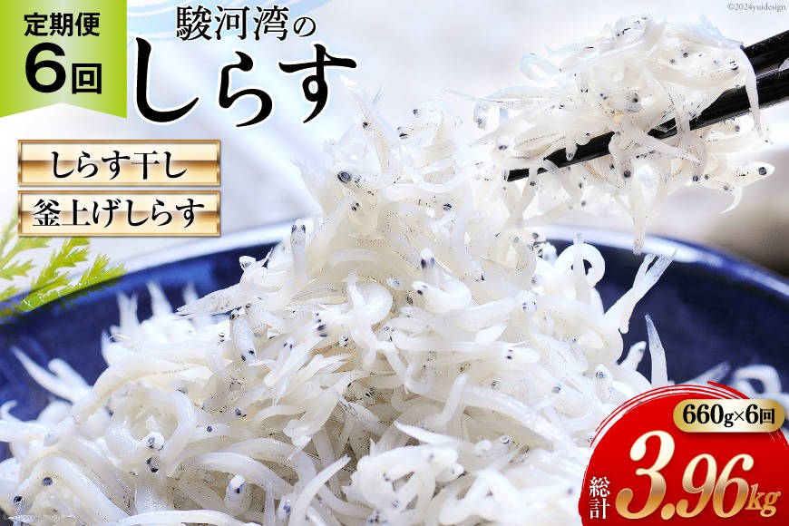 6回 定期便 駿河湾産 しらす干し 100g×3 釜上げしらす 120g×3 計6パック [マルあ水産 静岡県 吉田町 22424643] 魚 海鮮 しらす 白子 シラス 天日 じゃこ 小分け おじゃこ しらす干し