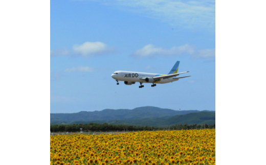 【北海道大空町】旅行割引クーポン券60,000円分 OST005