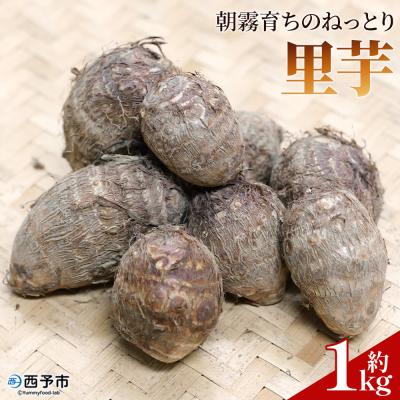 ふるさと納税 西予市 <朝霧育ちのねっとり里芋 約1kg>野菜 やさい さといも
