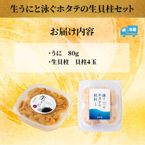 fn-39-016 ＜先行予約！＞ 生うに (80g) と泳ぐホタテの生貝柱 (貝柱4玉) セット 【令和9年5月上旬から7月下旬頃期間限定 お届け便】 ヤマキイチ商店