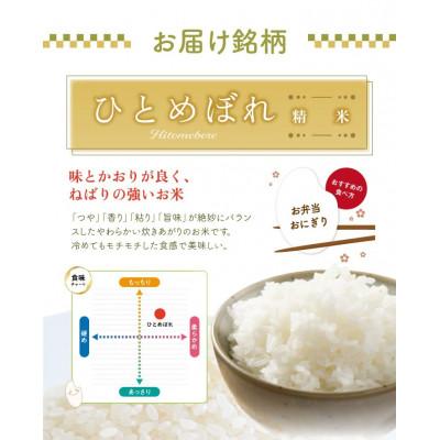 ふるさと納税 酒田市 ひとめぼれ 精米 10kg(5kg×2袋) 令和7年産米 山形県酒田産 |  | 02