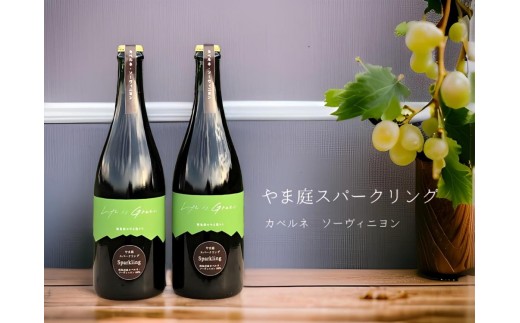 【本格・瓶内二次発酵】南魚沼産カベルネ100% 辛口スパークリング赤 2本セット